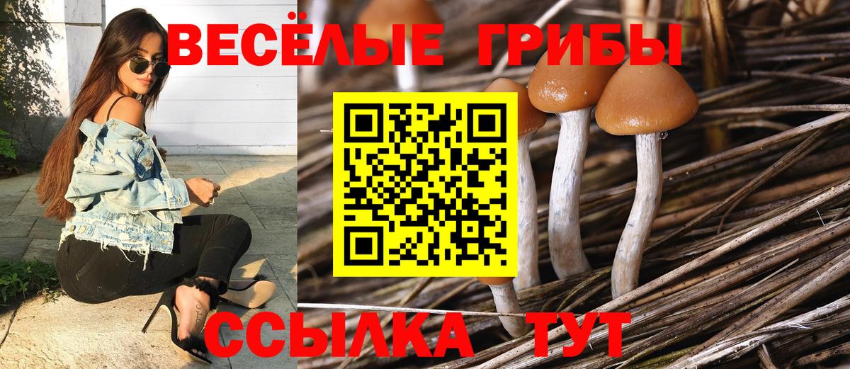 Галлюциногенные грибы мицелий Салехард