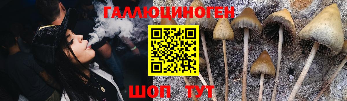 что такое наркотик  Галлюциногенные грибы GOLDEN TEACHER  Вход с VPN  Салехард 